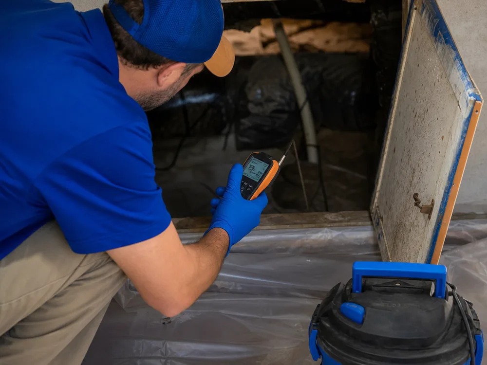 Moisture meter and HEPA vacuum near a crawlspace access during targeted mold remediation preparation